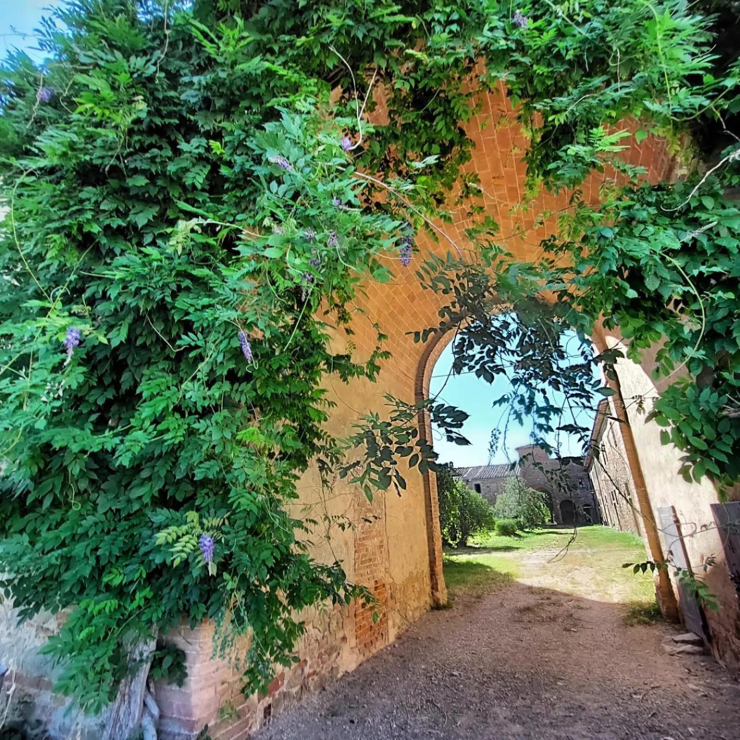 Tenuta La Fratta Sinalunga Extérieur photo
